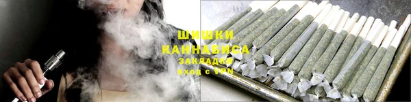 дживик Няндома
