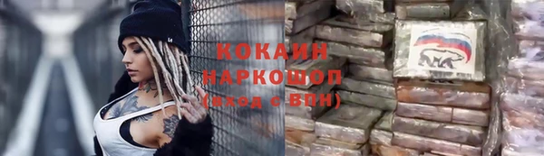 дживик Няндома