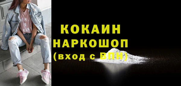 дживик Няндома