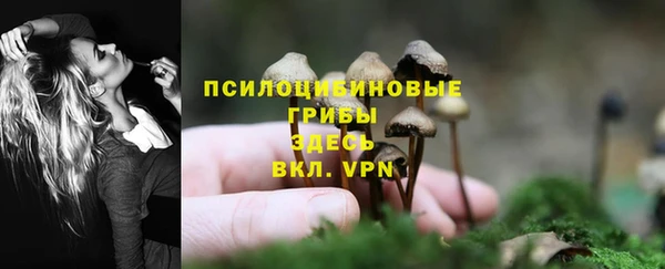 дживик Няндома