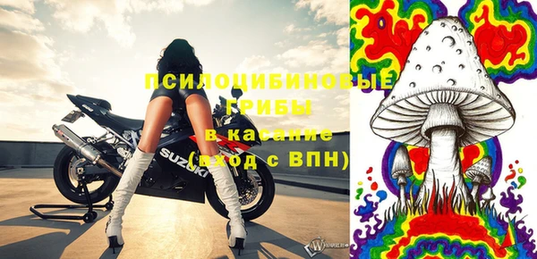 дживик Няндома