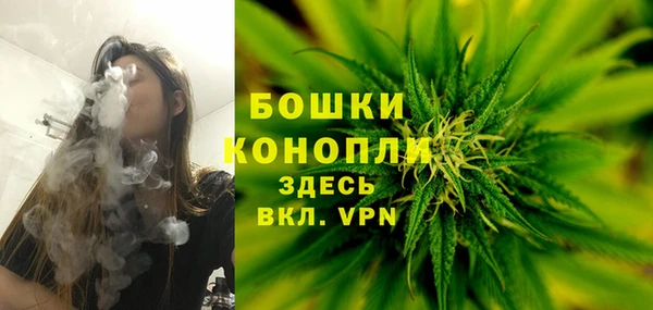 дживик Нязепетровск