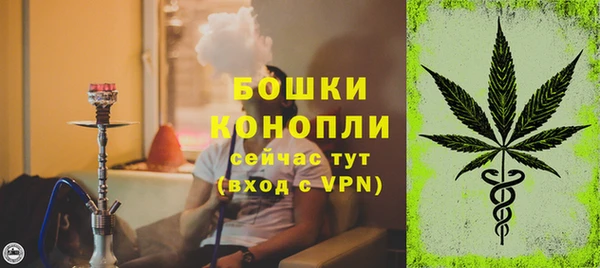 дживик Няндома