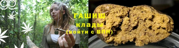 дживик Няндома