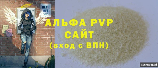 дживик Няндома