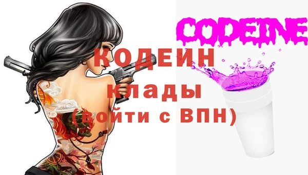 дживик Няндома