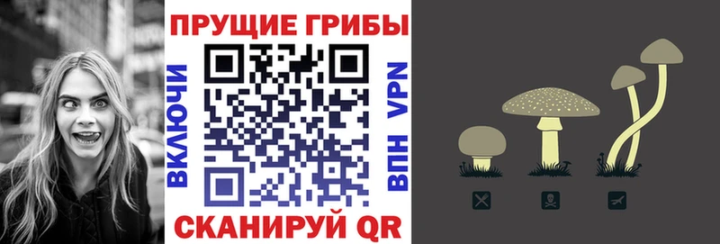 гидра как зайти  наркотики  Рудня  Псилоцибиновые грибы GOLDEN TEACHER 